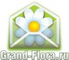 Логотип компании Доставка цветов Гранд Флора (ф-л г.Средняя Ахтуба)